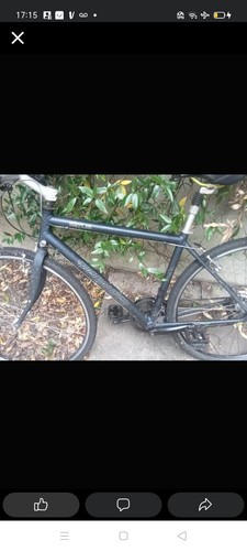 Specialized