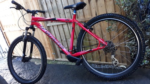 Specialized rockhopper - specialized,